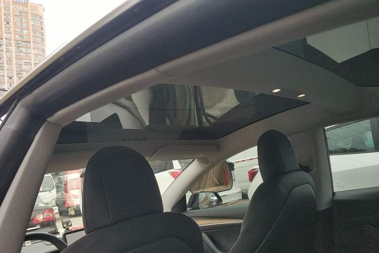 Used Tesla Model 3 2021 Standard Range Rear-Wheel Drive Upgraded Version 3D6