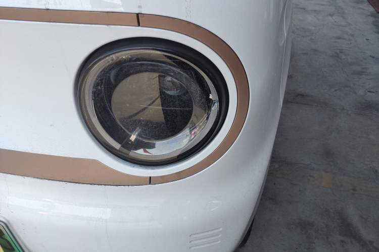 Used  Panda 2024 Panda Mini 200km Endurance Bear
