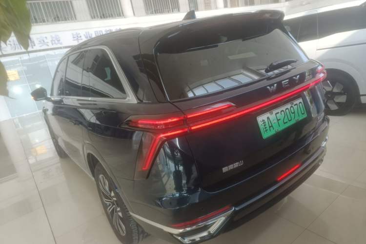 Used Wey Lanshan 2023 Four-Wheel Drive Ultra-Long Range Version