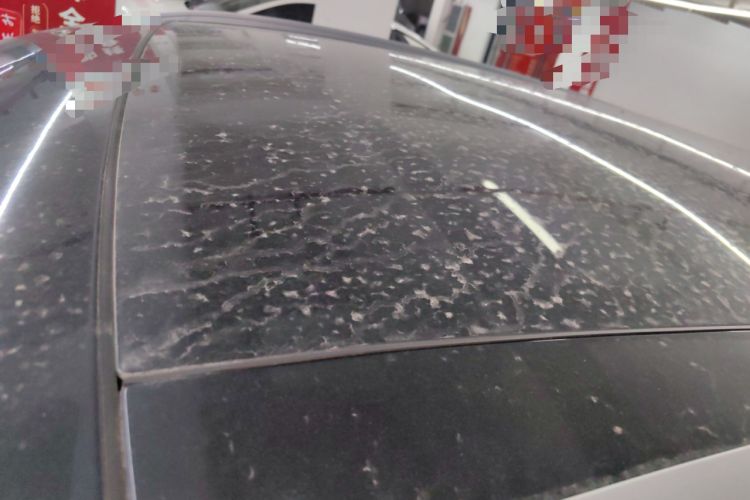 Used Ford Escape 2020 EcoBoost 245 Two-Wheel Drive Smart & Enjoyment Model