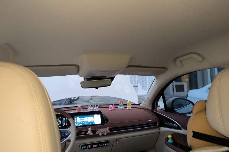 Used ORA Good Cat 2023 401 km Standard Range Luxury Version Lithium Iron Phosphate