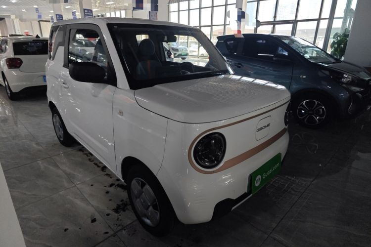 Used  Panda 2024 Panda Mini 200km Endurance Bear