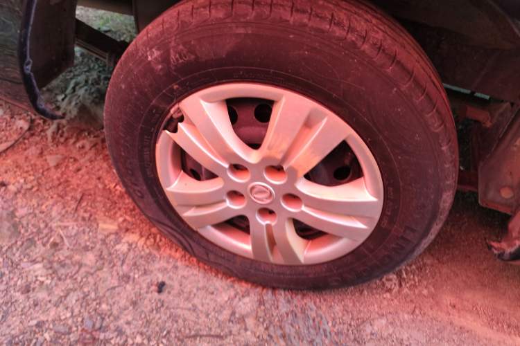 Used FORTHING Lingzhi 2020 M5L 1.6L Base Model 7 Seats