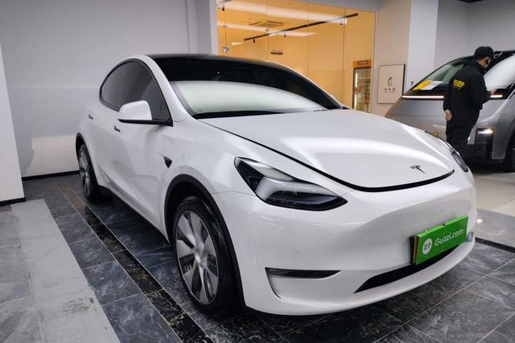 Used Tesla Model Y 2022 Revised Version Long-Range All-Wheel Drive