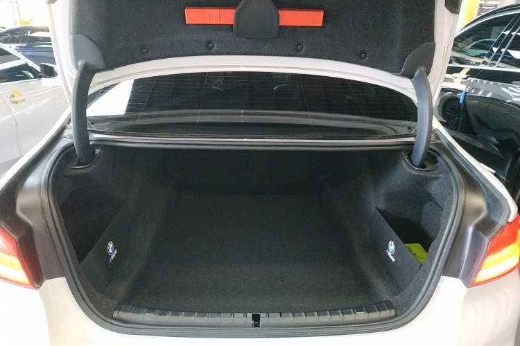 Used BMW 5 Series 2020 530Li Leading Model M Sport Package