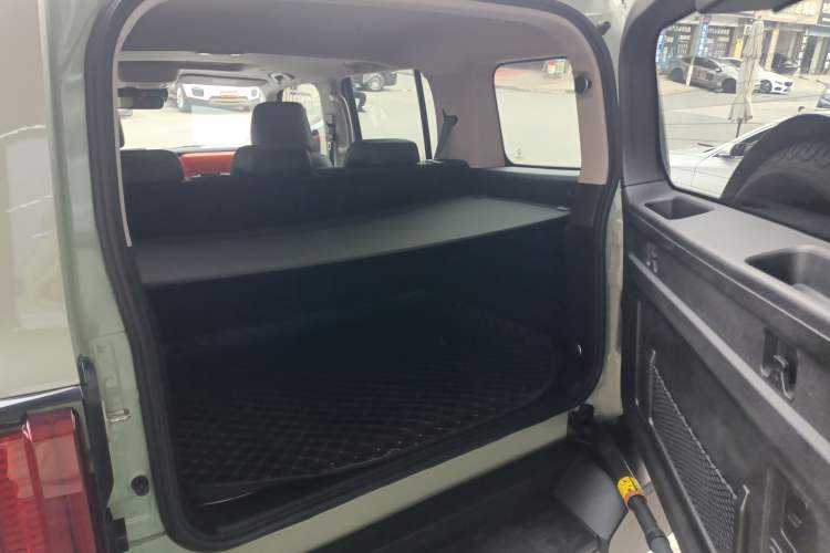 Used Tank 300 2021 City Edition 2.0T—Truly Stylish