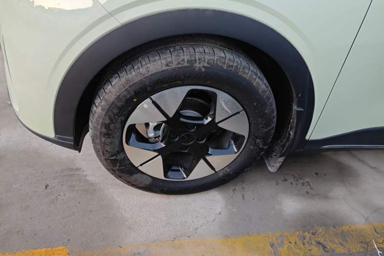 Used  Geome 2025 310km Dream Edition
