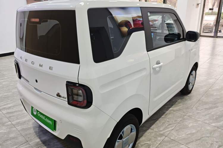 Used  Panda 2024 Panda Mini 200km Endurance Bear
