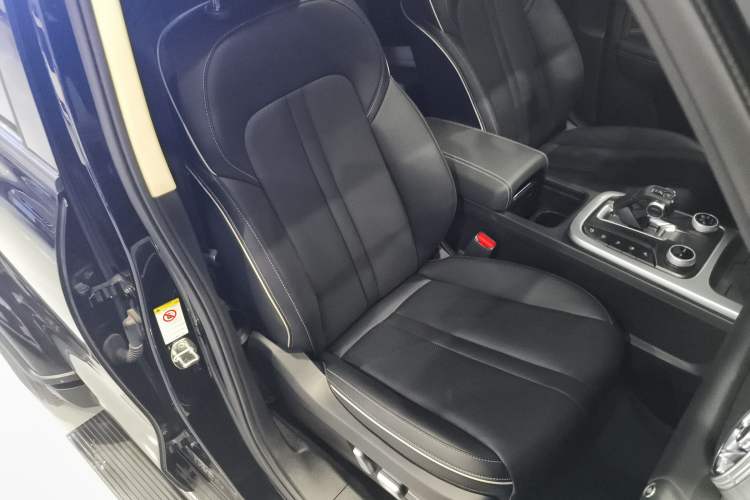 Used Tank 300 2024 2.0T Crosser
