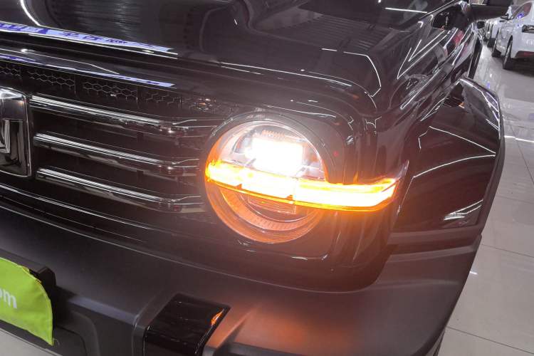 Used Tank 300 2024 2.0T Crosser
