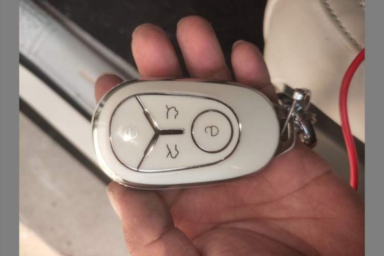 Used  Geome 2025 310km Dream Edition
