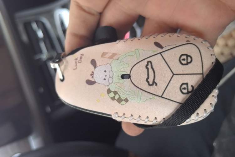 Used Skyworth EV6 2023 410 Elite Edition
