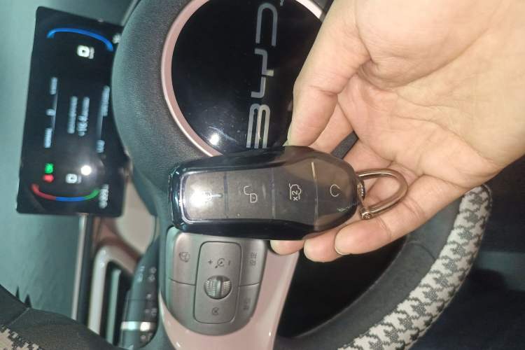 Used BYD Seagull 2023 Active Version
