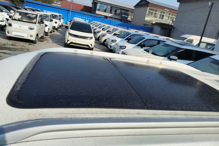 Used Venucia T60EV 2020 AI Enjoyment Model
