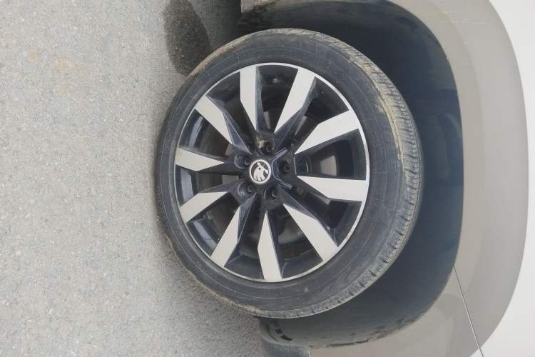 Used Skoda Karoq 2021 TSI280 Luxury Edition
