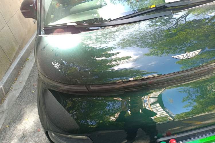 Used  LEVC L380 2024 140-Degree 6-Seater All-Wheel-Drive Ultra
