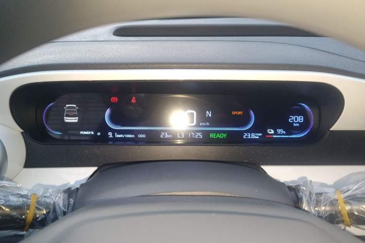 Used  Panda 2025 210 km – Yuanqi Bear
