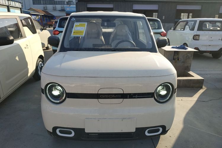 Used  Panda 2025 210 km – Yuanqi Bear
