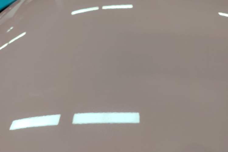 Used NETA V 2021 Witch Edition
