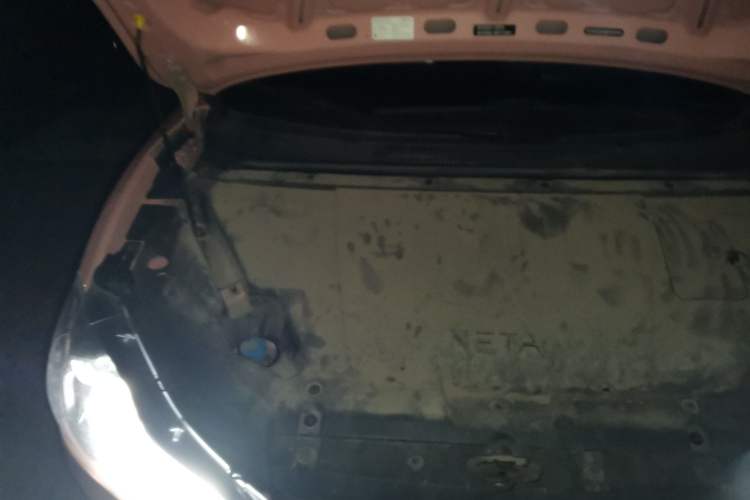 Used NETA V 2021 Witch Edition
