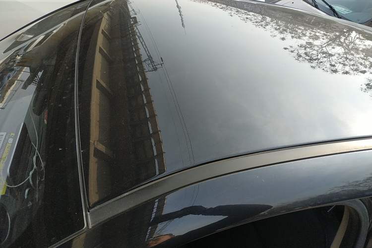 Used ORA Black Cat 2021 351 km Standard Version
