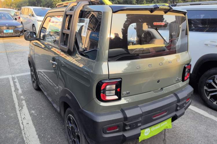 Used  Panda 2024 200km Panda Rider
