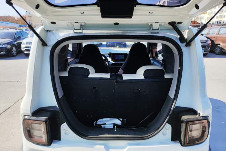 Used  Panda 2024 200km Panda Rider
