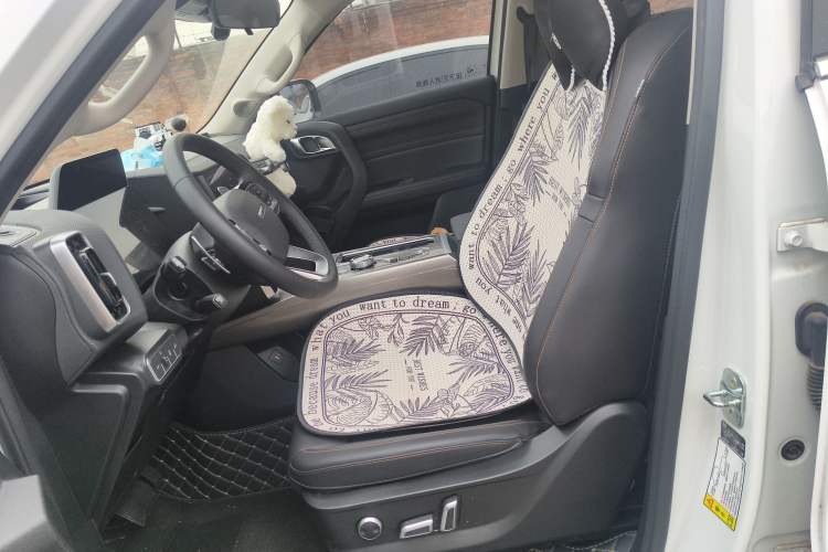 Used Haval DARGO 2024 2.0T DCT Chinese Rural Dog Edition