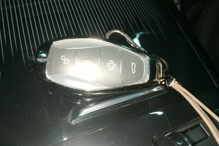 Used Hongqi H9 2024 2.0T Qichang Private Enjoyment Luxury Edition