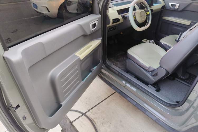 Used  Panda 2024 200km Panda Rider
