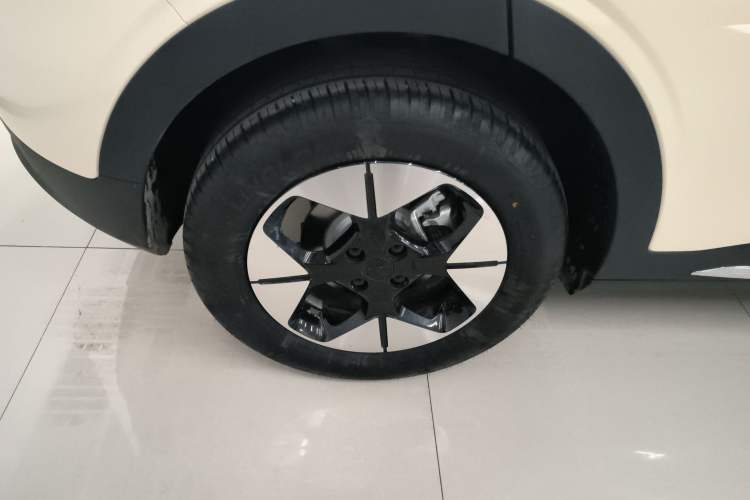 Used  Geome 2025 310km Dream Edition
