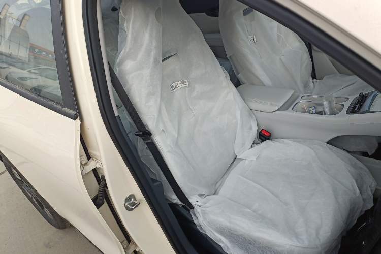 Used  Geome 2025 310km Dream Edition
