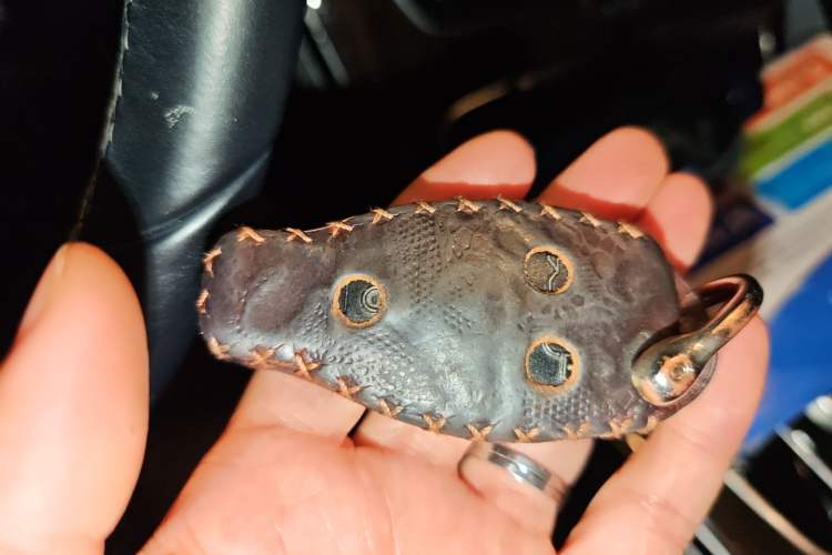 Used Mercedes-Benz C-Class 2015 C 260 L Sport Edition