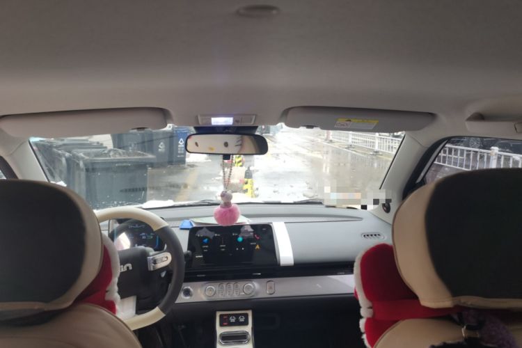 Used Qiyuan Lumin 2024 205km Launch Edition
