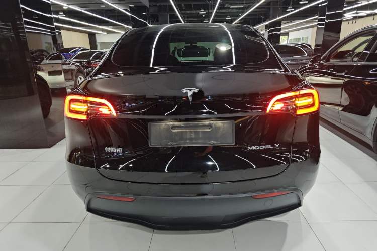 Used Tesla Model Y 2021 Standard Range Rear-Wheel Drive Version
