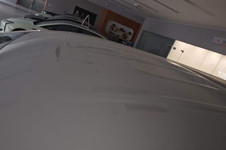 Used Hongqi HQ9 2023 2.0T Smart Connect Flagship Edition