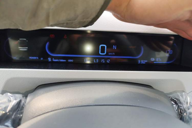 Used  Panda 2024 Panda Mini 200km Endurance Bear
