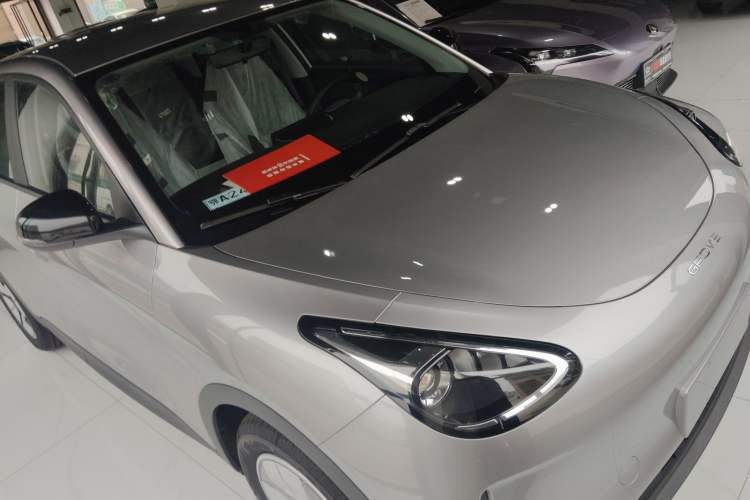 Used  Geome 2025 310km Youth Edition
