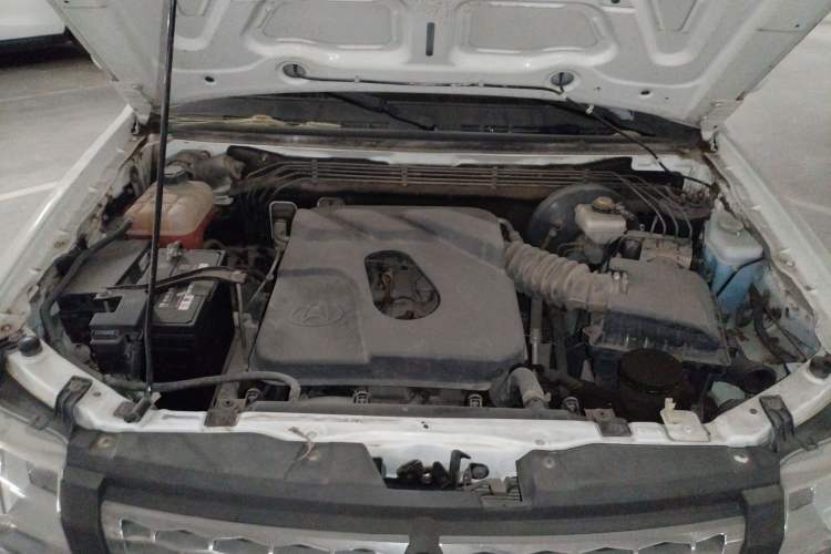 Used Chana Shenqi F30 2018 1.5L Standard Version with Air Conditioning Short Wheelbase DAM15L