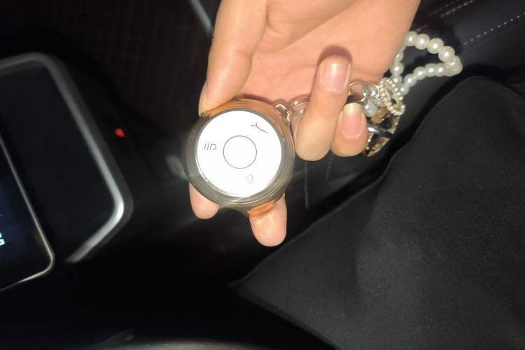 Used NETA V 2022 Pro Long-Range Smart Edition