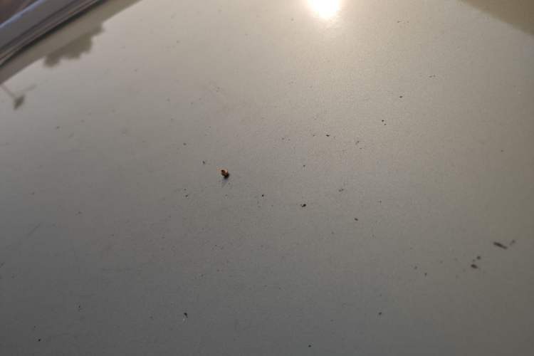 Used Baojun 560 2015 1.8L Manual Elite Model