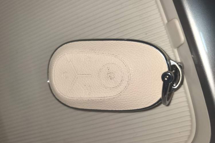 Used  Geome 2025 310km Dream Edition
