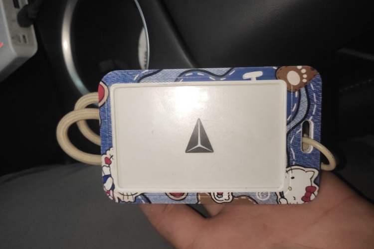 Used  SL03 2025 Pure Electric Elite Model
