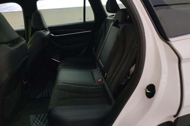 Used Geely Auto Monjaro L 2024 2.0TD High-Power Automatic Two-Wheel Drive Skyline Edition
