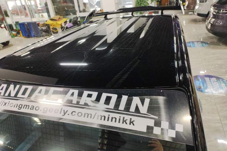 Used  Panda 2024 200km Panda Kart
