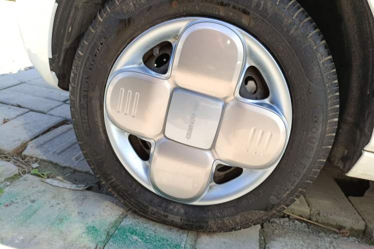 Used  Panda 2023 Panda Mini 200km Endurance Bear
