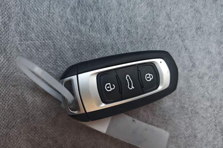 Used  Panda 2024 Panda Mini 200km Endurance Bear
