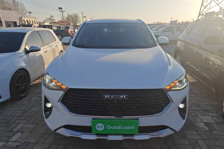 Used Haval F7x 2019 1.5T Two-Wheel Drive Smart & Trendy Edition
