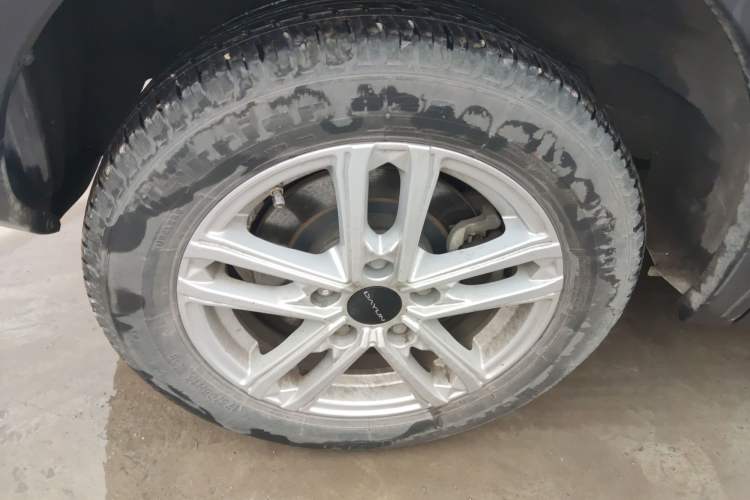 Used Dayun Yuehu 2022 30.66 kWh Two-Wheel Drive Standard Version