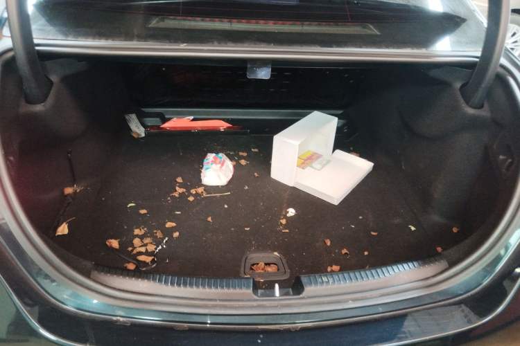 Used Mercedes-Benz C-Class 2022 C 200 L Sport Edition
